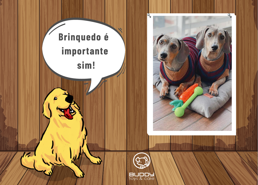 A importância dos brinquedos para cães